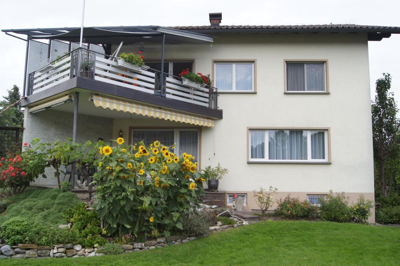 Ferienwohnung Beate Höchst Екстериор снимка